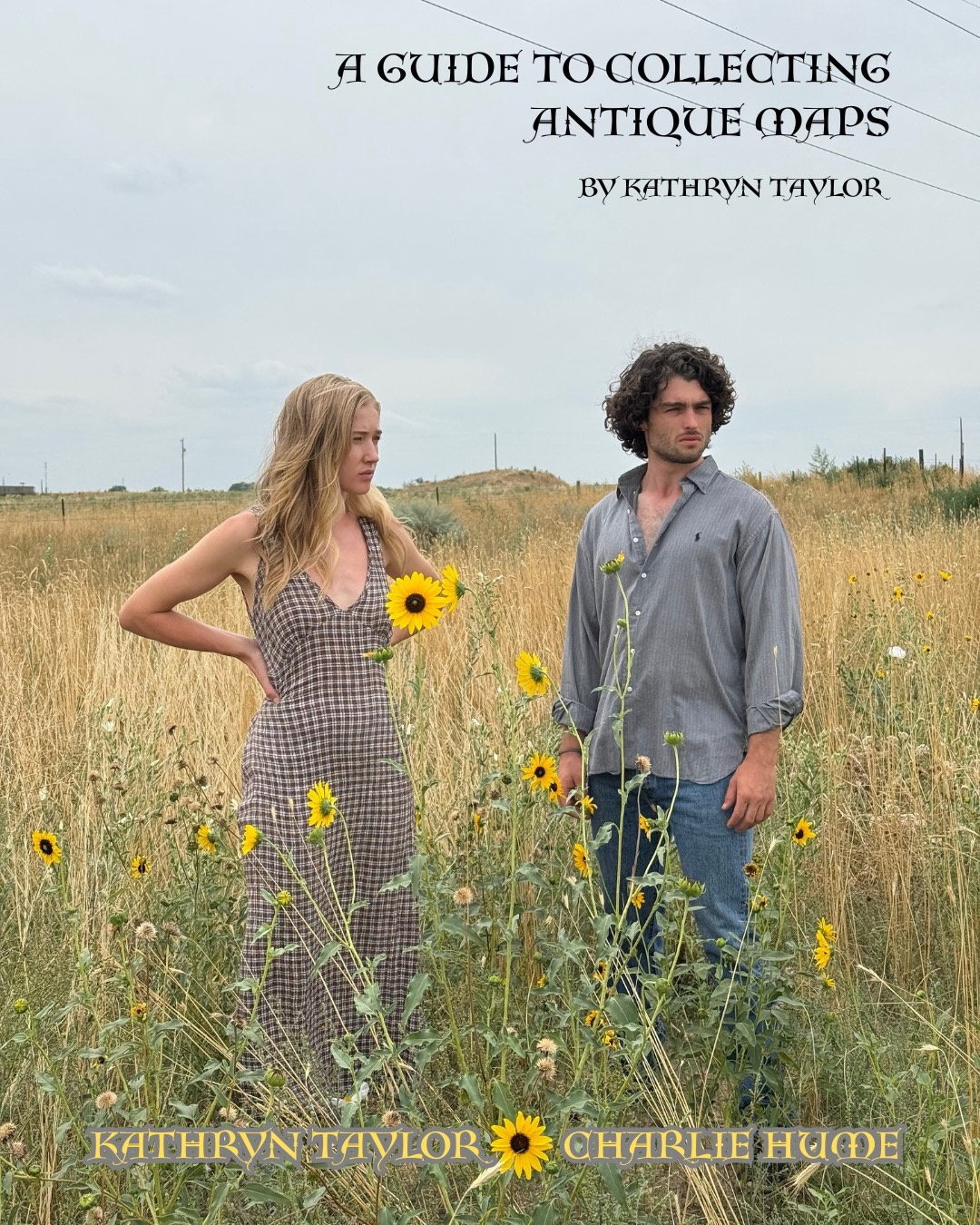 a guide to collecting antique maps 2